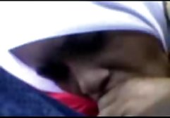 شخص در دانلود رایگان کلیپهای سکسی یک گربه مرطوب و مودار نزدیک می شود